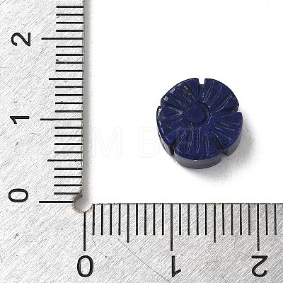 Natural Lapis Lazuli Beads G-T149-01H-1