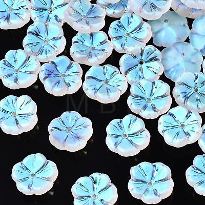 Transparent Frosted Glass Beads GLAA-Q089-003-D001-1