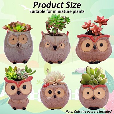 6Pcs Ceramic Cute Owl Succulent Pots JX359A-1