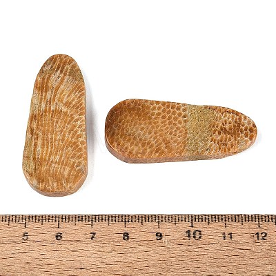 Natural Fossil Coral Pendants G-Q606-67-1
