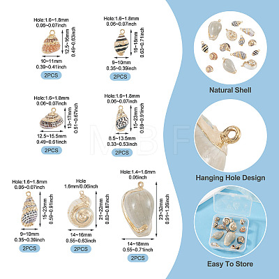 14Pcs 7 Styles Electroplated Natural Mixed Shell Pendants BSHE-TA0001-34A-1
