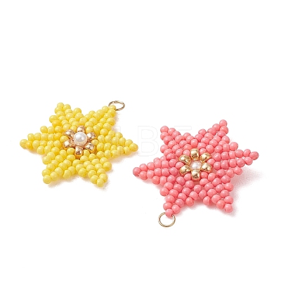 Glass Seed Beaded Pendants PALLOY-MZ01360-1