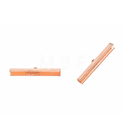 Rectangle Plating Iron Ribbon Crimp Ends IFIN-N3281-02-1