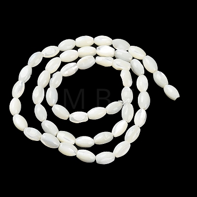 Natural Trochus Shell Beads Strands BSHE-E030-02A-1