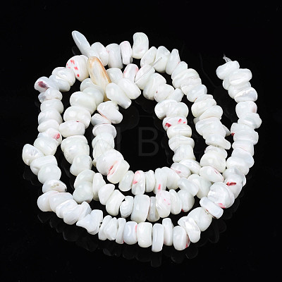 Natural Freshwater Shell Beads Strands SHEL-N003-23-A01-1