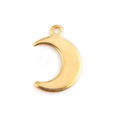 304 Stainless Steel Pendants LS-STAS-I140-05G-1