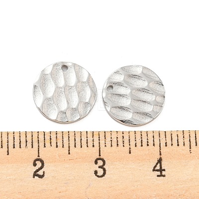 304 Stainless Steel Charms STAS-P333-06P-1