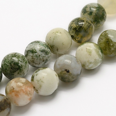 Natural Tree Agate Beads Strands G-K194-6mm-02-1