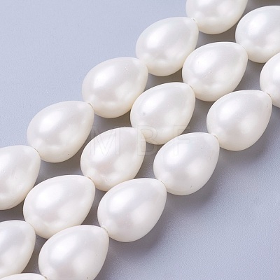 Electroplate Shell Pearl Beads Strands BSHE-O019-05-1