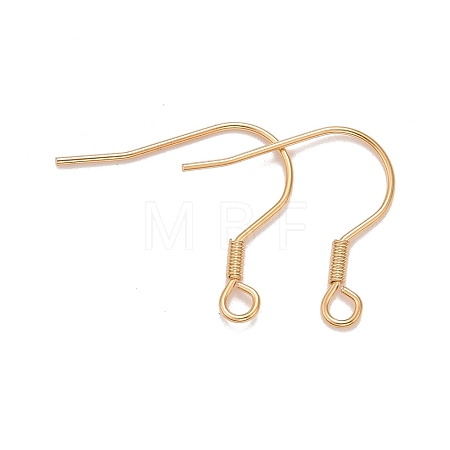 304 Stainless Steel Earrings Hooks X-STAS-P227-06G-1