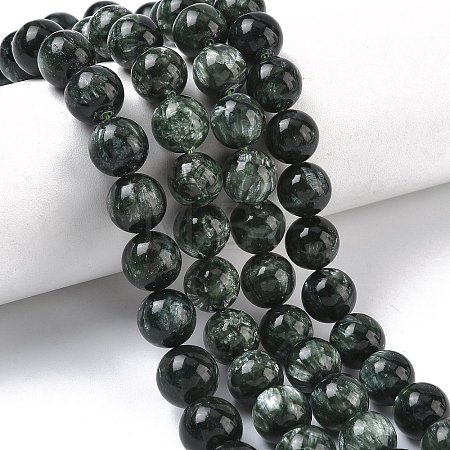 Natural Seraphinite Beads Strands G-C270-O01-11-1