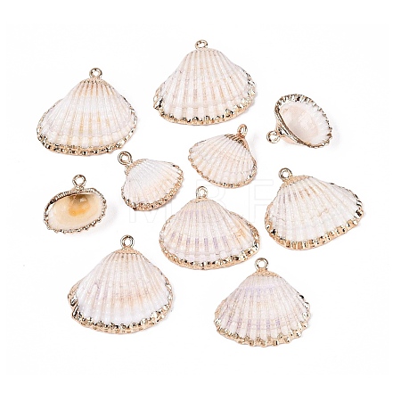 Electroplate Natural Shell Pendants SSHEL-Q100-14KCG-1