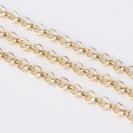 Iron Rolo Chains CH-S066-01-1