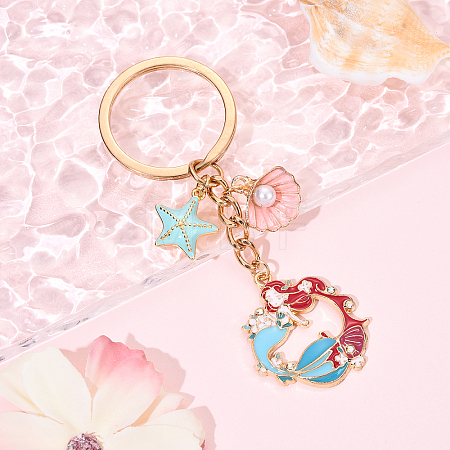 Brass & Alloy Enamel Keychain KEYC-YW00160-03-1
