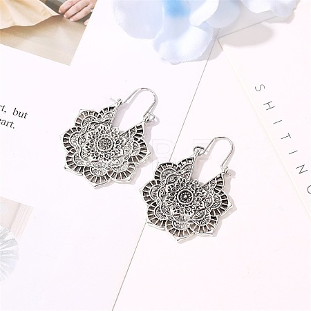 Bohemian Style Alloy Hoop Earrings FS-WG8FE08-02-1