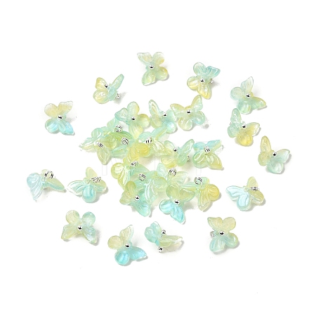 Glass Charms GLAA-G127-04G-1