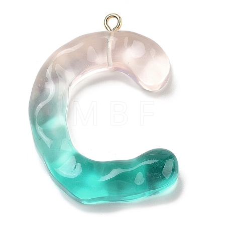Resin Pendant FIND-Q107-01C-01-1
