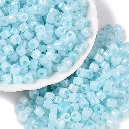 Glass Seed Beads SEED-T008-01F-1