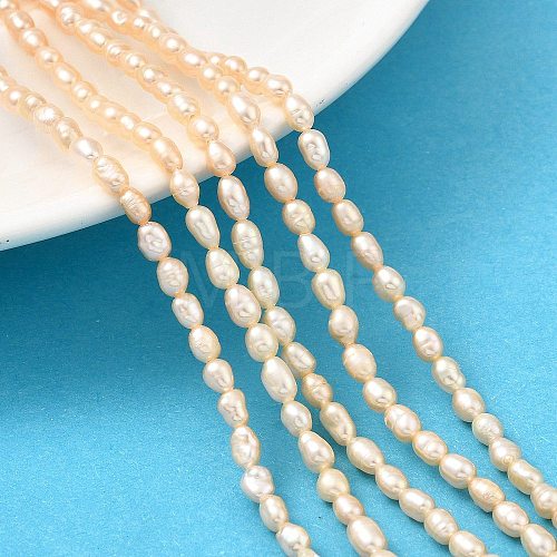 Natural Cultured Freshwater Pearl Beads Strands PEAR-I007-01L-03-1