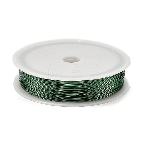 Baking Painted Iron Wire MW-NH0001-05A-1