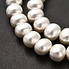 Shell Pearl Beads Strands BSHE-F013-01A-4