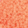 6/0 Luminous Glass Seed Beads X1-SEED-NH0001-01D-3