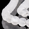 Natural Quartz Crystal Beads Strands G-T106-331-2