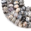 Natural  Black African Opal Beads Strands G-C259-A52-5x8mm-4