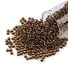 TOHO Round Seed Beads SEED-XTR08-2152S-1