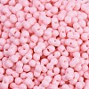 Baking Paint Glass Seed Beads SEED-K010-A17-2