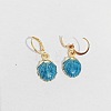 Ocean Theme Alloy Enamel Shell Shape Leverback Earrings FS-WG4EEAF-10-1