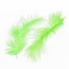 Turkey Feather Costume Accessories FIND-T013-04I-2