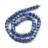 Dyed Natural Sesame Jasper Beads Strands G-C179-B02-01-3