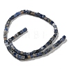 Natural Sodalite Beads Strands G-C084-E06-02-3