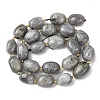 Natural Labradorite Beads Strands G-G453-D10-01-3