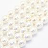 Shell Pearl Beads Strands BSHE-P024-12A-1