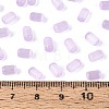 Drawbench Style Glass Seed Beads SEED-N008-10E-4