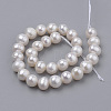 Natural Cultured Freshwater Pearl Beads Strands PEAR-N013-06E-2