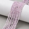 Natural Kunzite/Spodumene Beads Strands G-L651-C12-2mm-01-1