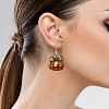 Acrylic Dangle Earrings FS-WGE7B92-01-5