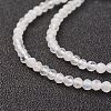 Natural Rainbow Moonstone Bead Strand X-G-G680-53-3