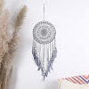 Woven Web/Net with Feather Wall Hanging Decorations PW-WG80788-01-2