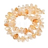 Natural Citrine(Heated) Beads Strands G-K393-B03-3