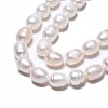Natural Cultured Freshwater Pearl Beads Strands PEAR-N012-07B-4