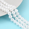 Electroplated Shell Pearl Beads Strands BSHE-C007-A01-01-2