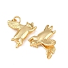 Brass Pendants KK-L255-20G-01-2