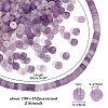   2 Strands Natural Lepidolite/Purple Mica Stone Beads Strands G-PH0002-30-2