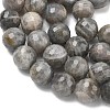 Natural Labradorite Beads Strands G-L642-F07-12mm-4