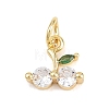 Brass Micro Pave Cubic Zirconia Charms KK-H273-49G-01-1