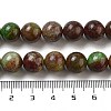 Natural Green Opal Beads Strands G-H045-A03-10MM-5